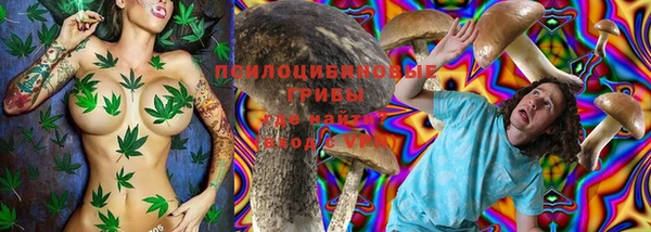 ПСИЛОЦИБИНОВЫЕ ГРИБЫ Бородино