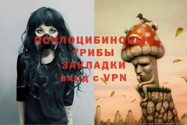 ПСИЛОЦИБИНОВЫЕ ГРИБЫ Бородино