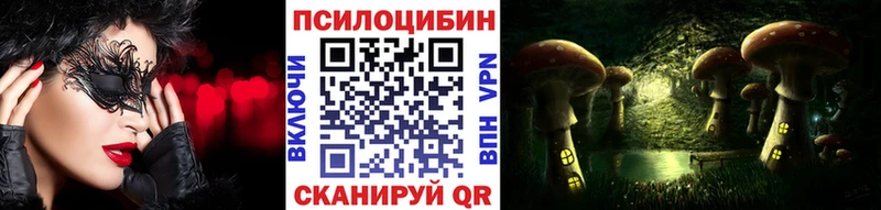 хочу Новомичуринск Галлюциногенные грибы прущие грибы
